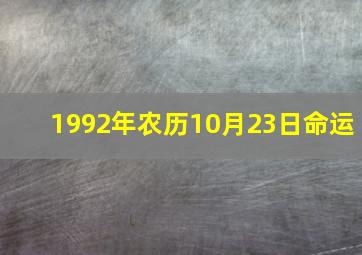 1992年农历10月23日命运