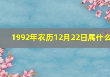 1992年农历12月22日属什么