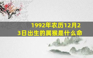 1992年农历12月23日出生的属猴是什么命