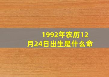 1992年农历12月24日出生是什么命