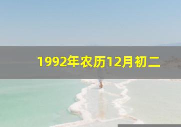 1992年农历12月初二