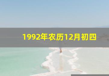 1992年农历12月初四