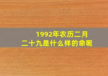 1992年农历二月二十九是什么样的命呢