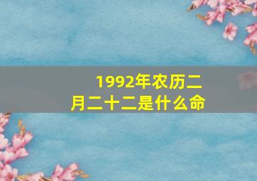 1992年农历二月二十二是什么命