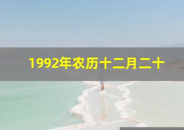 1992年农历十二月二十