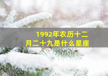 1992年农历十二月二十九是什么星座