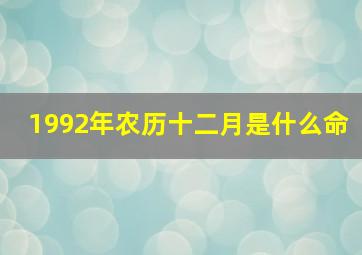 1992年农历十二月是什么命