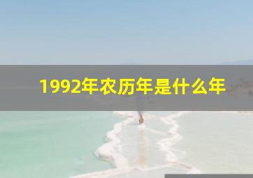 1992年农历年是什么年