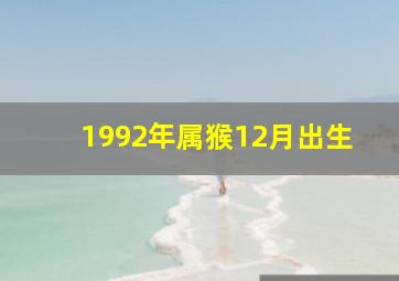 1992年属猴12月出生