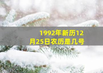 1992年新历12月25日农历是几号