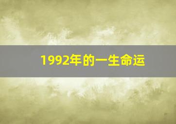 1992年的一生命运