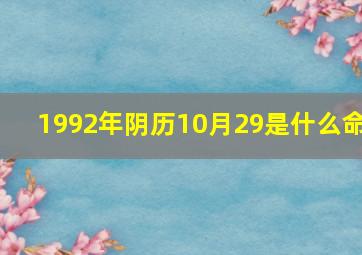 1992年阴历10月29是什么命