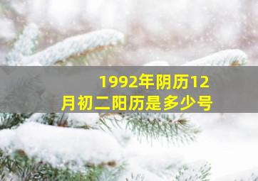 1992年阴历12月初二阳历是多少号