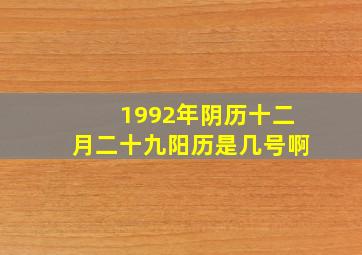 1992年阴历十二月二十九阳历是几号啊