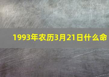 1993年农历3月21日什么命