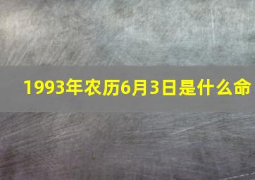 1993年农历6月3日是什么命