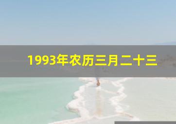 1993年农历三月二十三