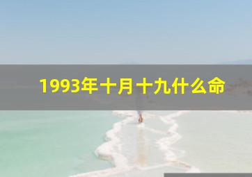 1993年十月十九什么命