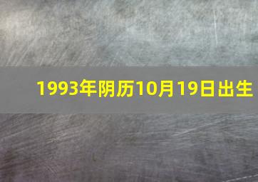 1993年阴历10月19日出生