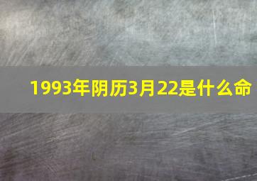 1993年阴历3月22是什么命