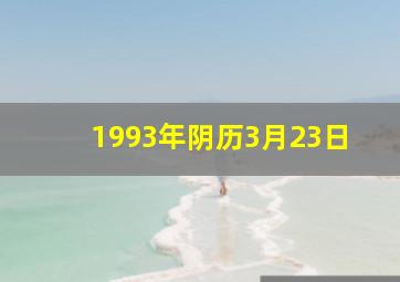 1993年阴历3月23日