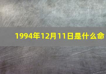 1994年12月11日是什么命