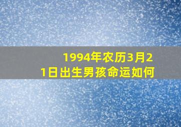 1994年农历3月21日出生男孩命运如何