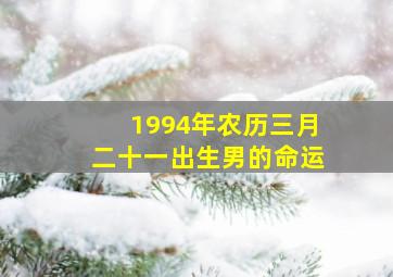 1994年农历三月二十一出生男的命运