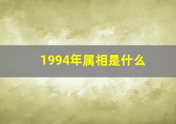 1994年属相是什么