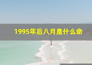 1995年后八月是什么命