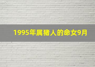 1995年属猪人的命女9月