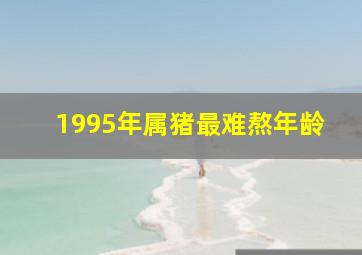 1995年属猪最难熬年龄