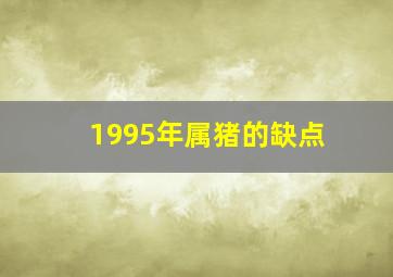 1995年属猪的缺点