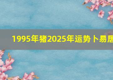 1995年猪2025年运势卜易居