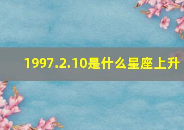 1997.2.10是什么星座上升