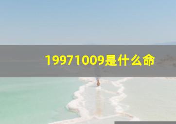 19971009是什么命