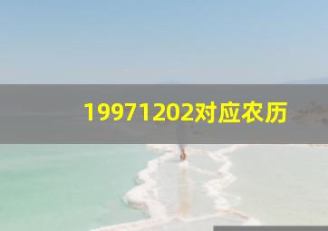 19971202对应农历