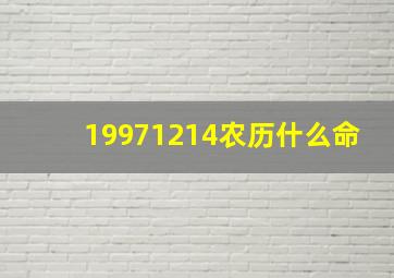 19971214农历什么命