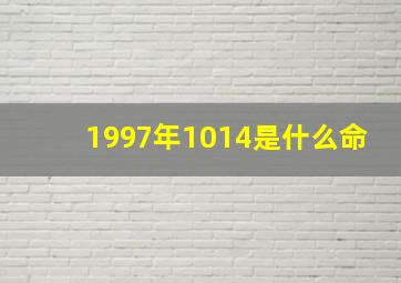 1997年1014是什么命