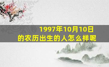 1997年10月10日的农历出生的人怎么样呢