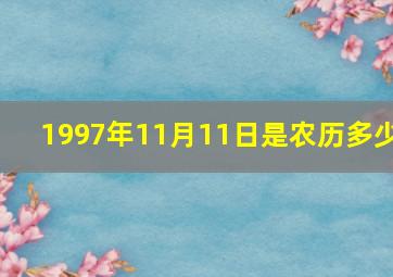 1997年11月11日是农历多少