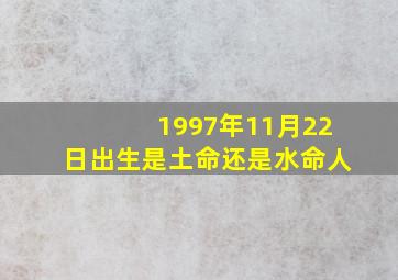 1997年11月22日出生是土命还是水命人