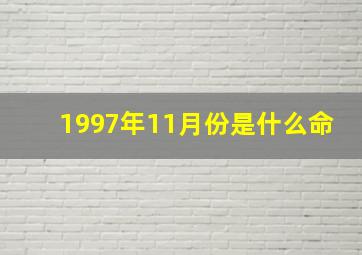 1997年11月份是什么命