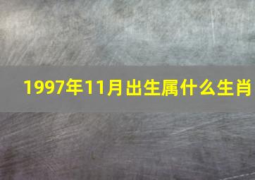 1997年11月出生属什么生肖