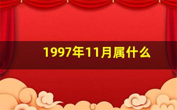 1997年11月属什么