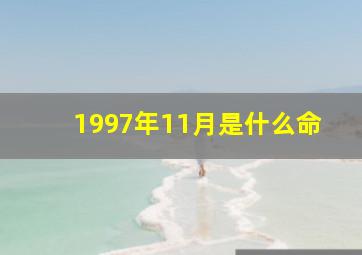 1997年11月是什么命