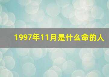 1997年11月是什么命的人