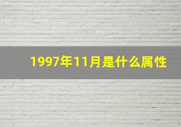 1997年11月是什么属性