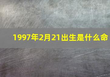 1997年2月21出生是什么命