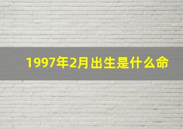 1997年2月出生是什么命